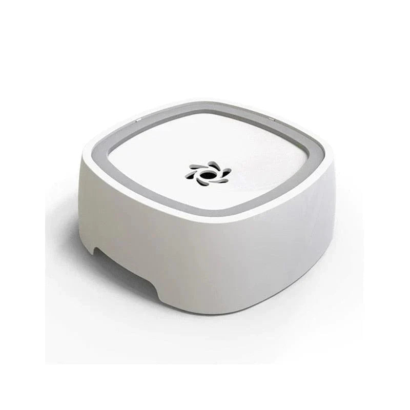 #FFFFFF